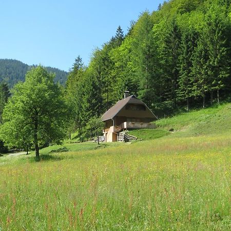 Apartmaji Brloznica Pod Veliko Planino Luče Pokój zdjęcie